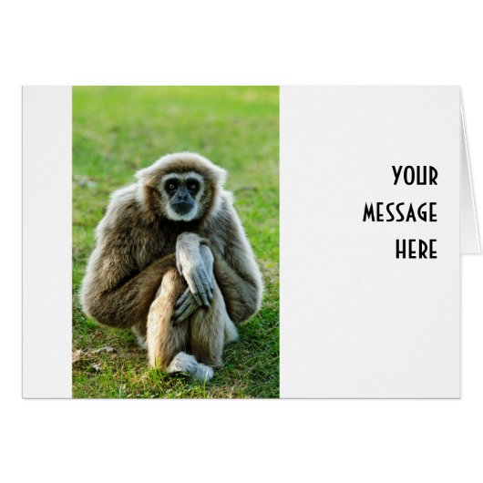 Gibbon, Let's talk about the meaning of life... Cards (Front Horizontal)