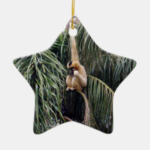 Gibbon Monkey Just Hanging Around, Ceramic Ornament