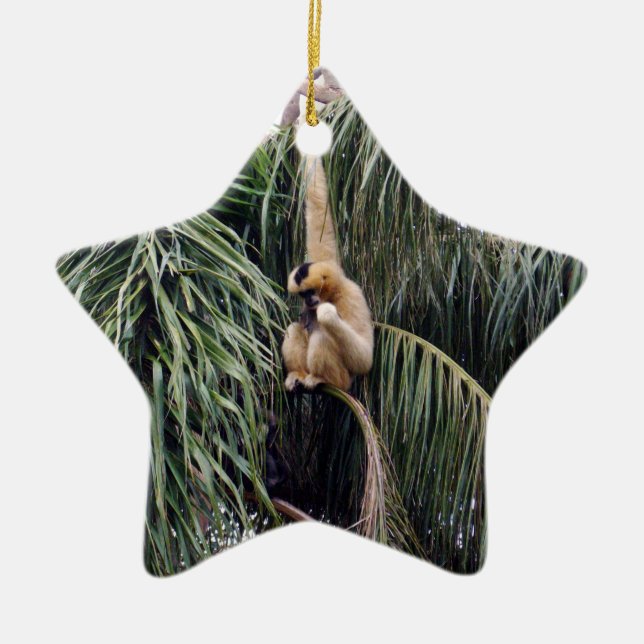 Gibbon Monkey Just Hanging Around, Ceramic Ornament (Front)