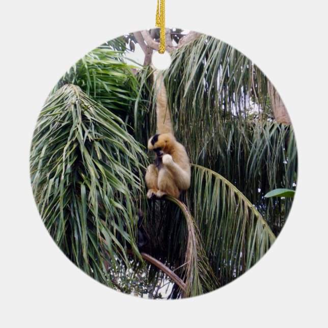 Gibbon Monkey Just Hanging Around, Ceramic Ornament (Back)