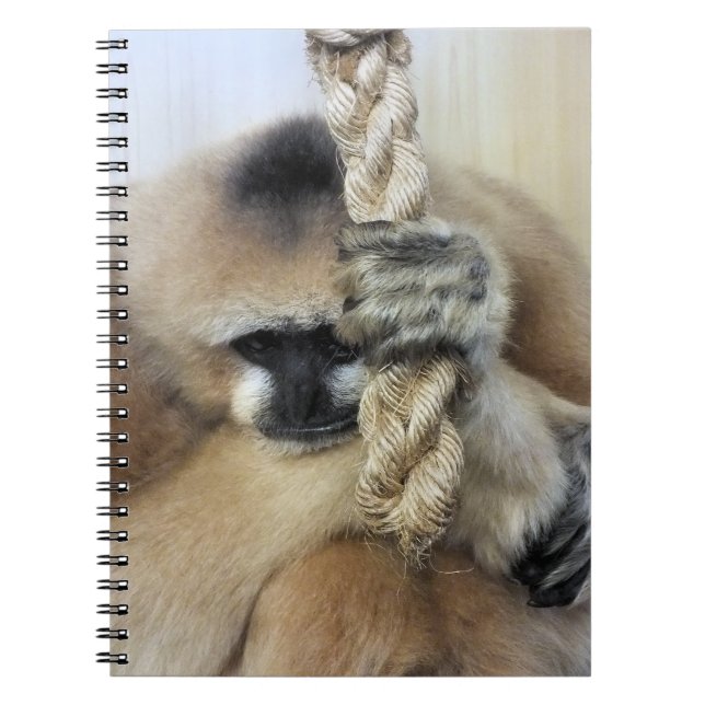 GIBBON NOTEBOOK (Front)