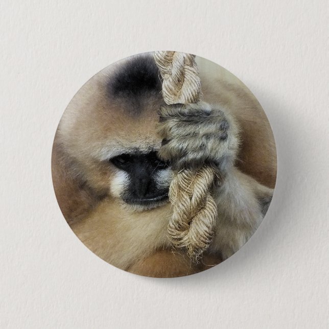 GIBBON PINBACK BUTTON (Front)