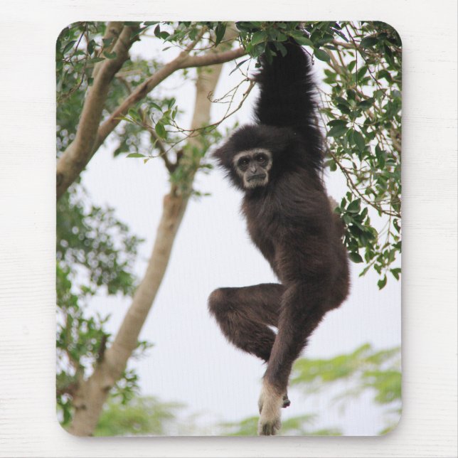 Gibbon Swinging from Tree Mouse Pad (Front)