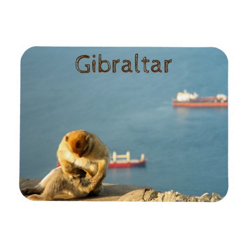 Gibraltar Barbary ape Magnet