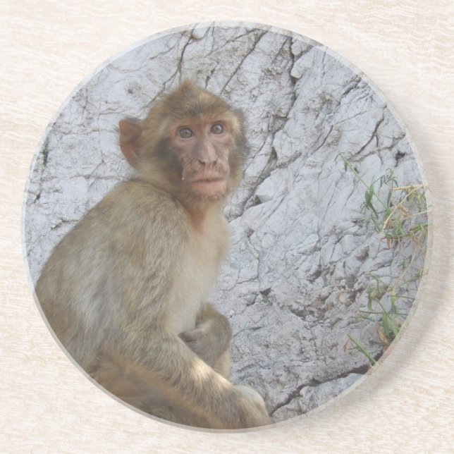 Gibraltar Monkey coaster (Front)