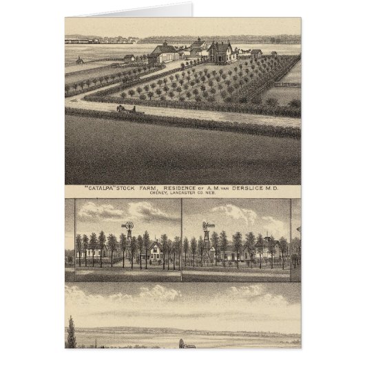 Gibson, Nebraska Cards (Front)