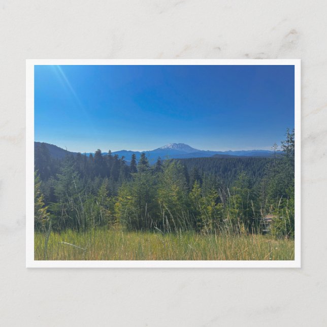 Gifford Pinchot National Forest Postcard (Front)
