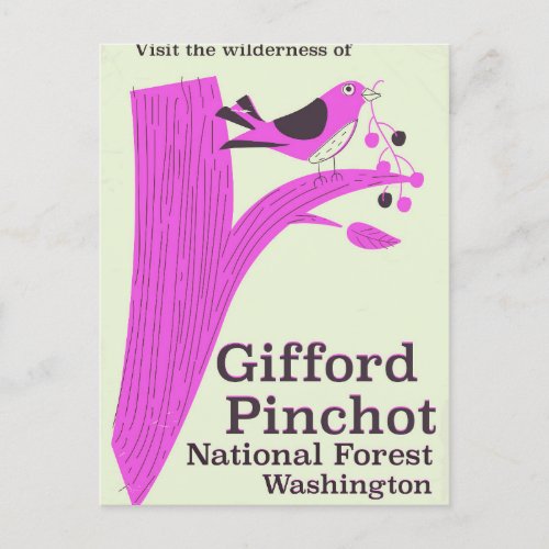 Gifford Pinchot National Forest Washington Postcard