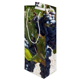 Gift Bag - Grapes on vine