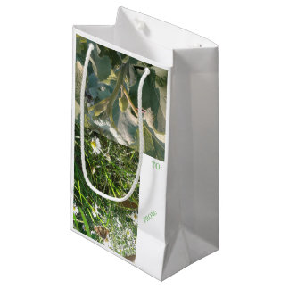 Gift Bag/TAG mmetropolim design Small Gift Small Bag