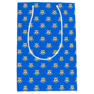 Gift Bag with Connecticut flag, USA