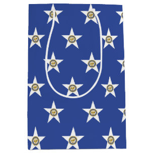 Gift Bag with flag of  Houston, Texas, USA