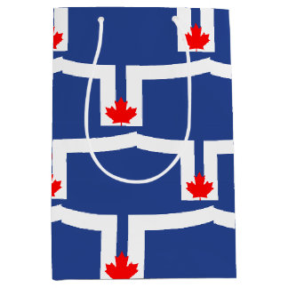 Gift Bag with Toronto flag, Canada