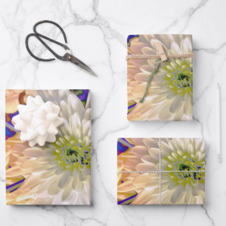 Gift Bag Wrapping Paper Sheets