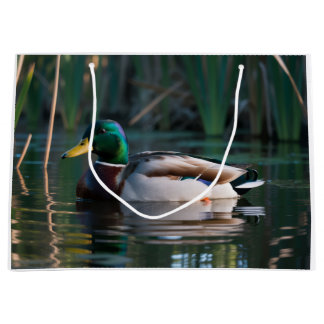 Gift Bags Male Mallard Duck Swimming in a 