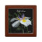 Gift Box Wild Iris With Love