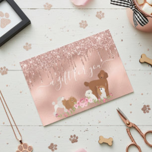 Gift Certificate Dog Grooming Pet Vet Boarding