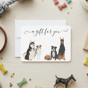 Gift Certificate Dog Grooming Pet Vet Boarding