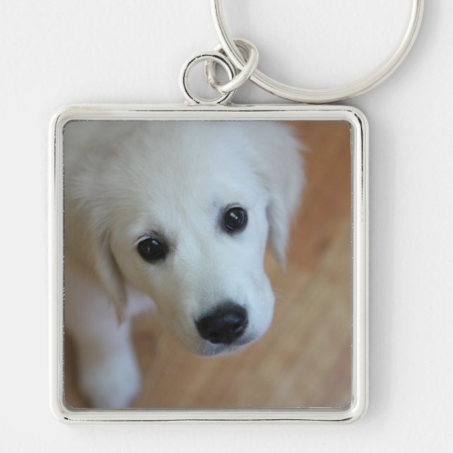 Gift for animal lovers keychain (Front)