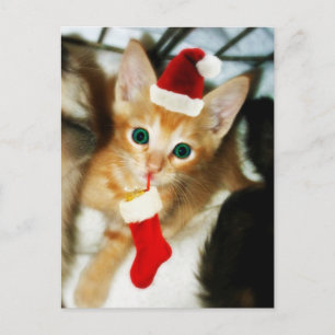 GIFT FOR YOU POSTCARD