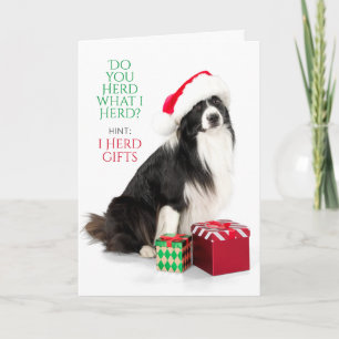 Gift Herding Border Collie With Santa Hat Holiday  Card