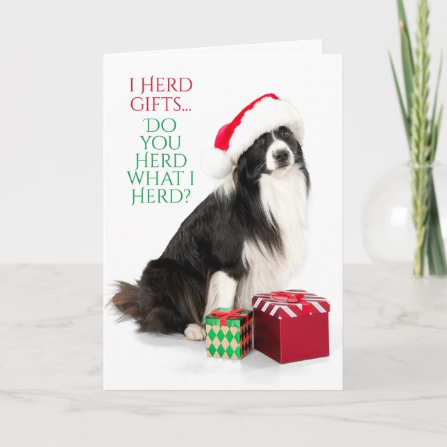 Gift Herding Border Collie With Santa Hat Holiday Card (Front)