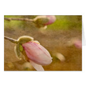 Gift of Hope (Front Horizontal)