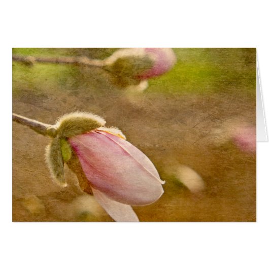 Gift of Hope (Front Horizontal)