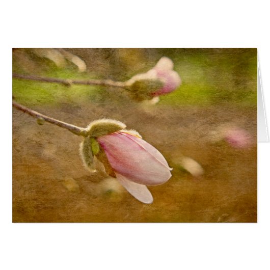 Gift of Hope (Front Horizontal)