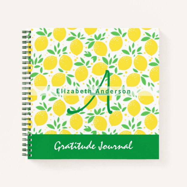 Gift of Thanks Custom GRATITUDE Journal BUDGET