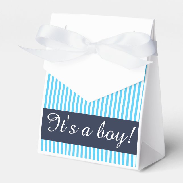 Gift Package, Striped Custom Template Favor Boxes (Front Side)