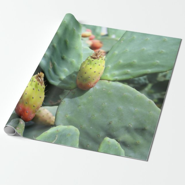 gift paper fig (Unrolled)