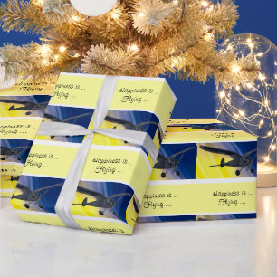 Gift Wrap - Model Airplane