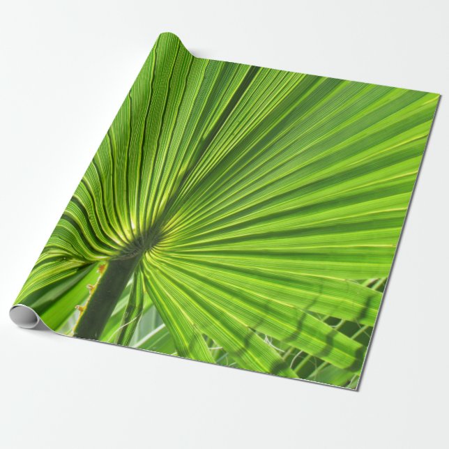 Gift Wrap - Palm Leaf (Unrolled)