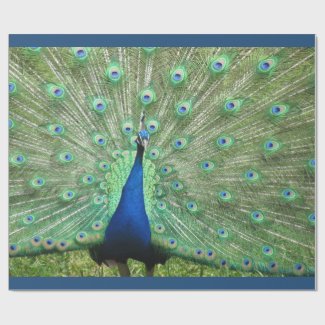 Gift Wrap - Peacock (v.2)