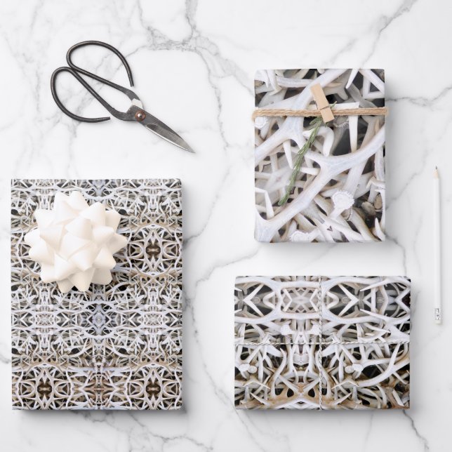 Gift Wrap Yellowstone Elk Antlers (Front)