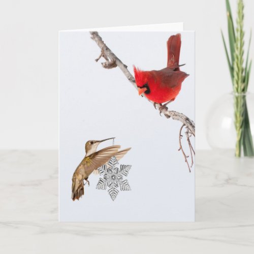 Gifting Birds Holiday Card