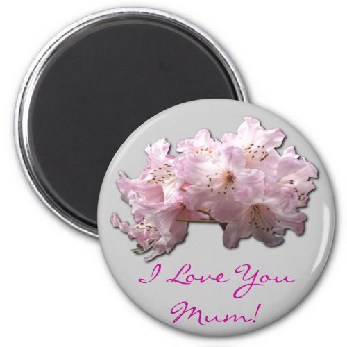 GIFTS FOR MOTHERS EVERYWHERE MAGNET