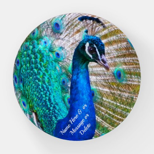 Gifts for Peacock Lovers Peacock Paperweight