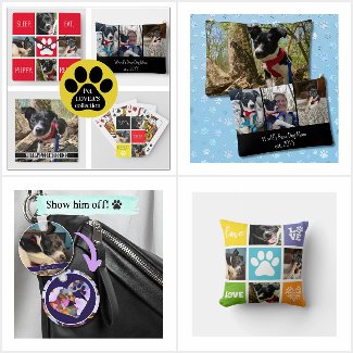 Gifts for Pet Owners
