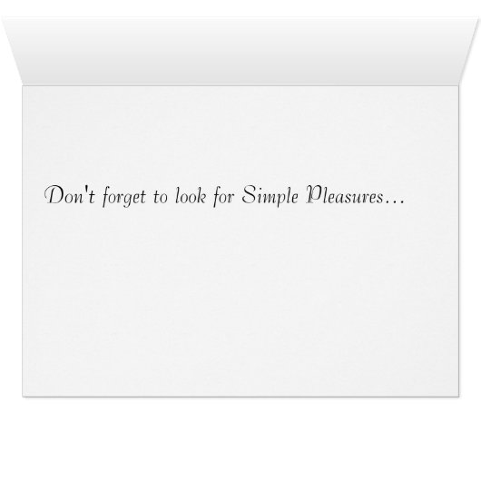 Gifts From The Sea Cards! (Inside Horizontal (Bottom))