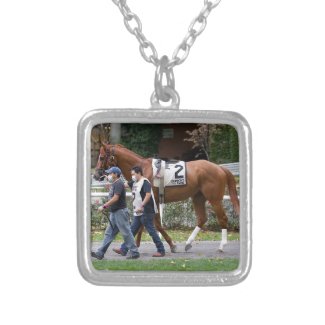 Gifts Silver Plated Necklace