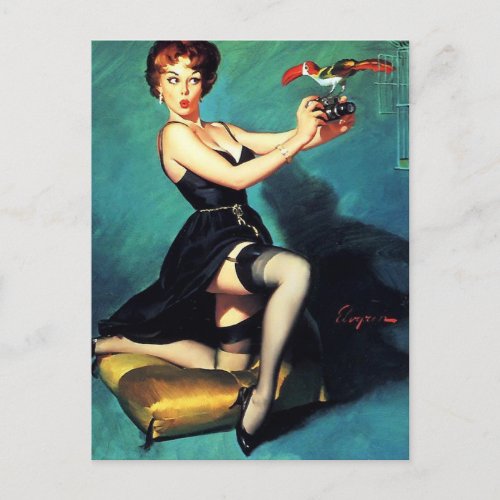 Gil Elvgren  _ Ruffled Feathers _ Vintage pin up Postcard