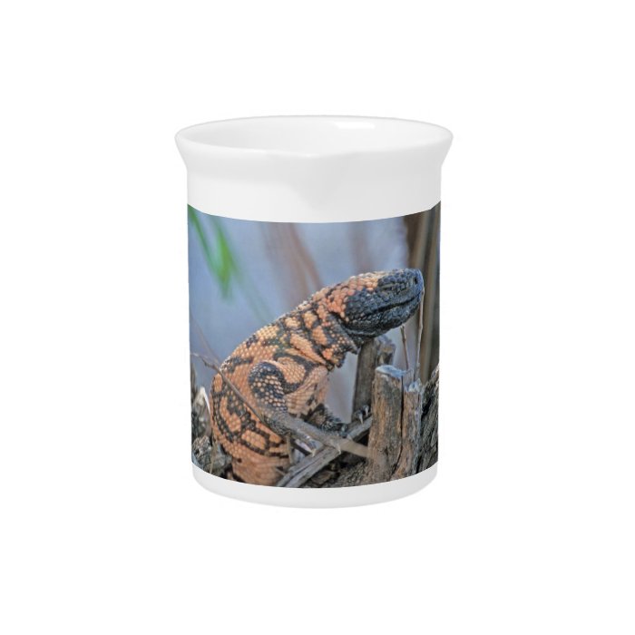 Gila Monster Beverage Pitchers