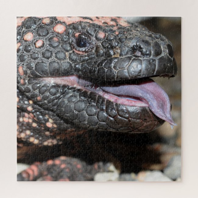 Gila monster