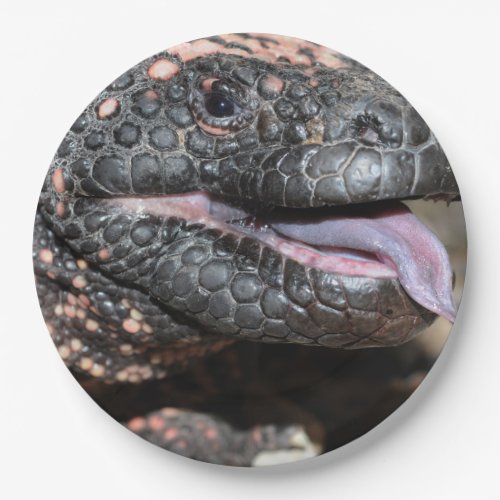 Gila monster paper plates