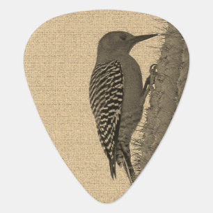 Gila Woodpecker and Saguaro Cactus Photo Southwest Guitar Pick