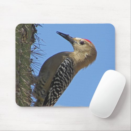 Gila Woodpecker Cactus Desert Bird Wildlife Photo Mouse Pad