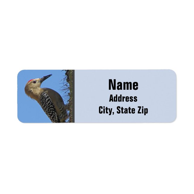 Gila Woodpecker Photo Desert Southwest Bird Label (Front)