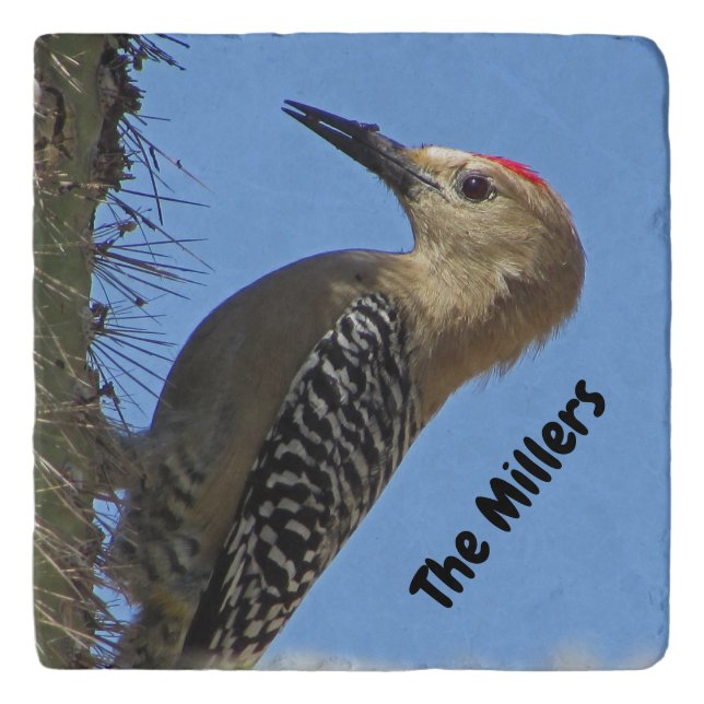 Gila Woodpecker Photo Family Name Desert Bird Trivet (Front)
